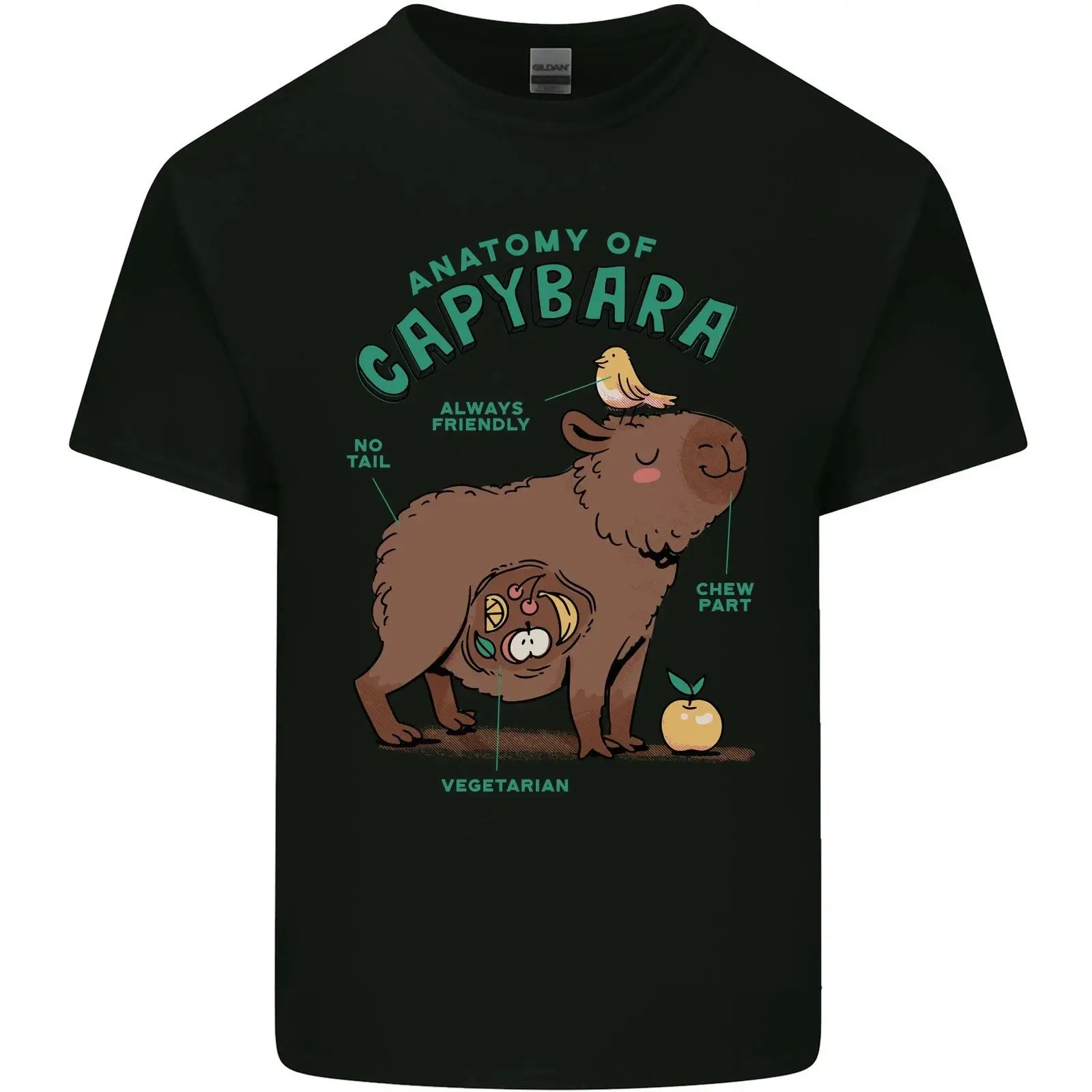 Vintage Fashion Herren - Körperbau Eines Capybara Lustig Herren Leichte