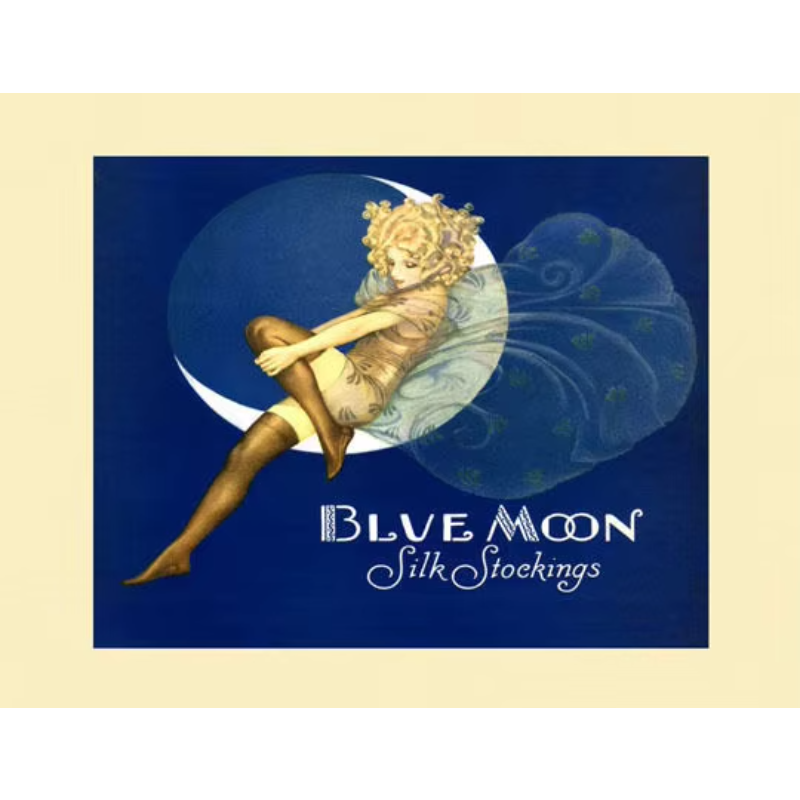BLUE MOON Fairy Stockings Fash - Vintage Fashion Prints For Wall review and price